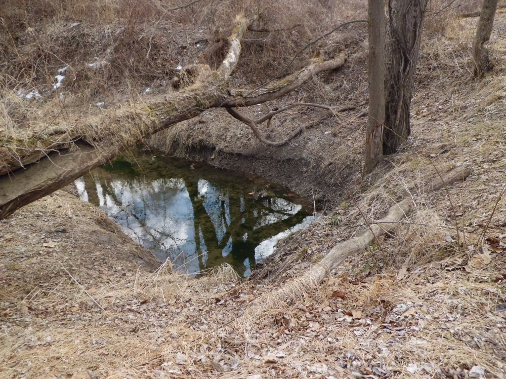 Tranquil pools along the path add to a beautiful nature hike.