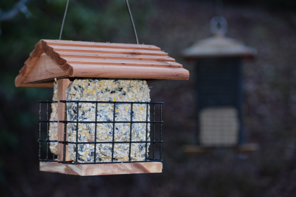 Bird Feeder