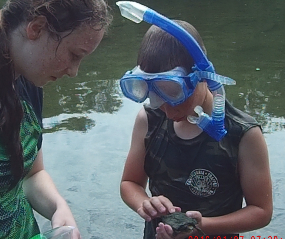 A girl and boy wearing snorkeling masks, the boy holds a turtle