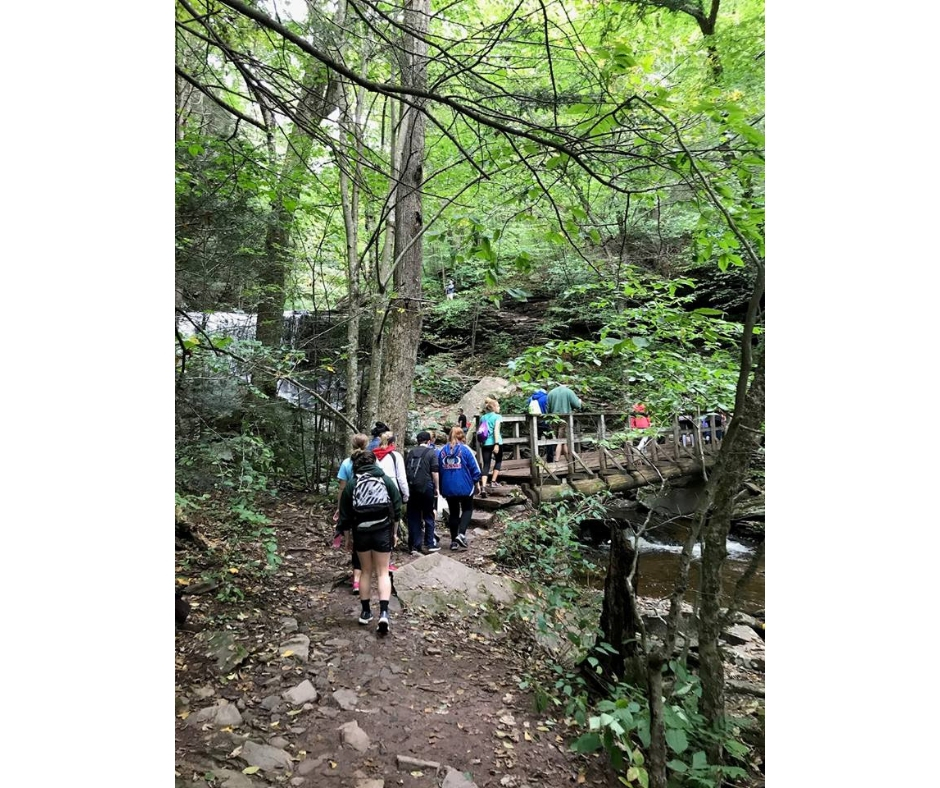 A group of students in a forest trail with green trees all around. They're walking across a small bridge overlooking the water. 