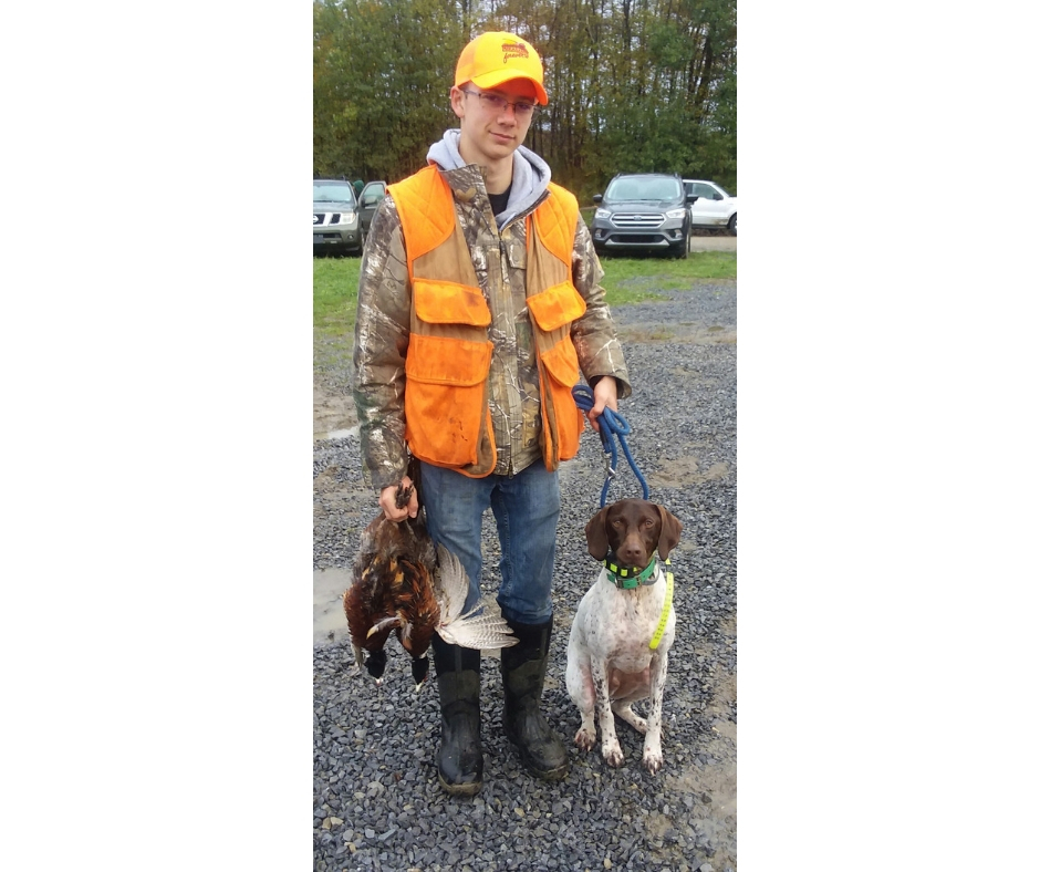 A boy wearing an orange vest and hat. In one hand he has two dead pheasants, in the other he has a brown and white dog by the leash.