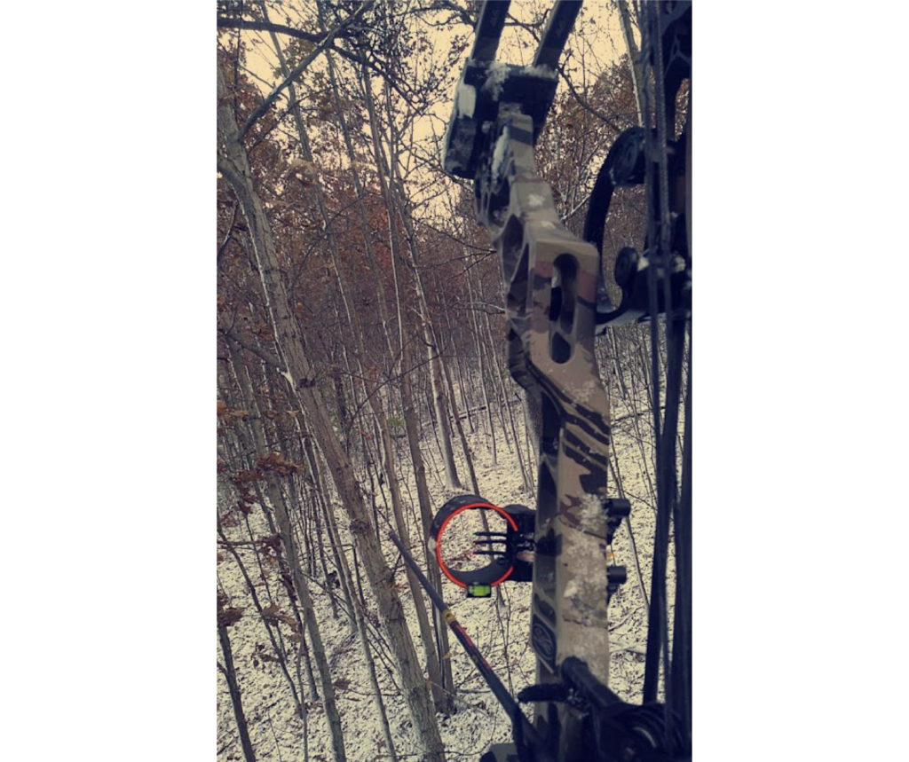 A archery bow is in the foreground. The picture was taken in a tree stand. Below are trees, and snow.