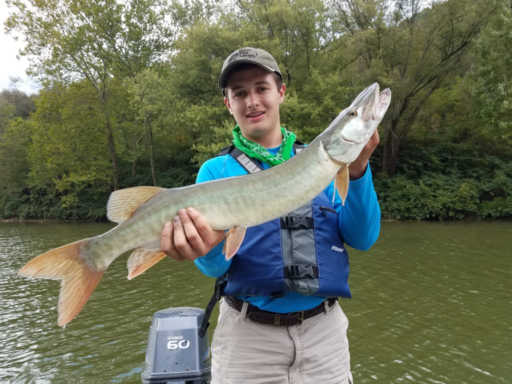 How to Make Musky the Fish of Less Than a Thousand Casts - Flylords Mag